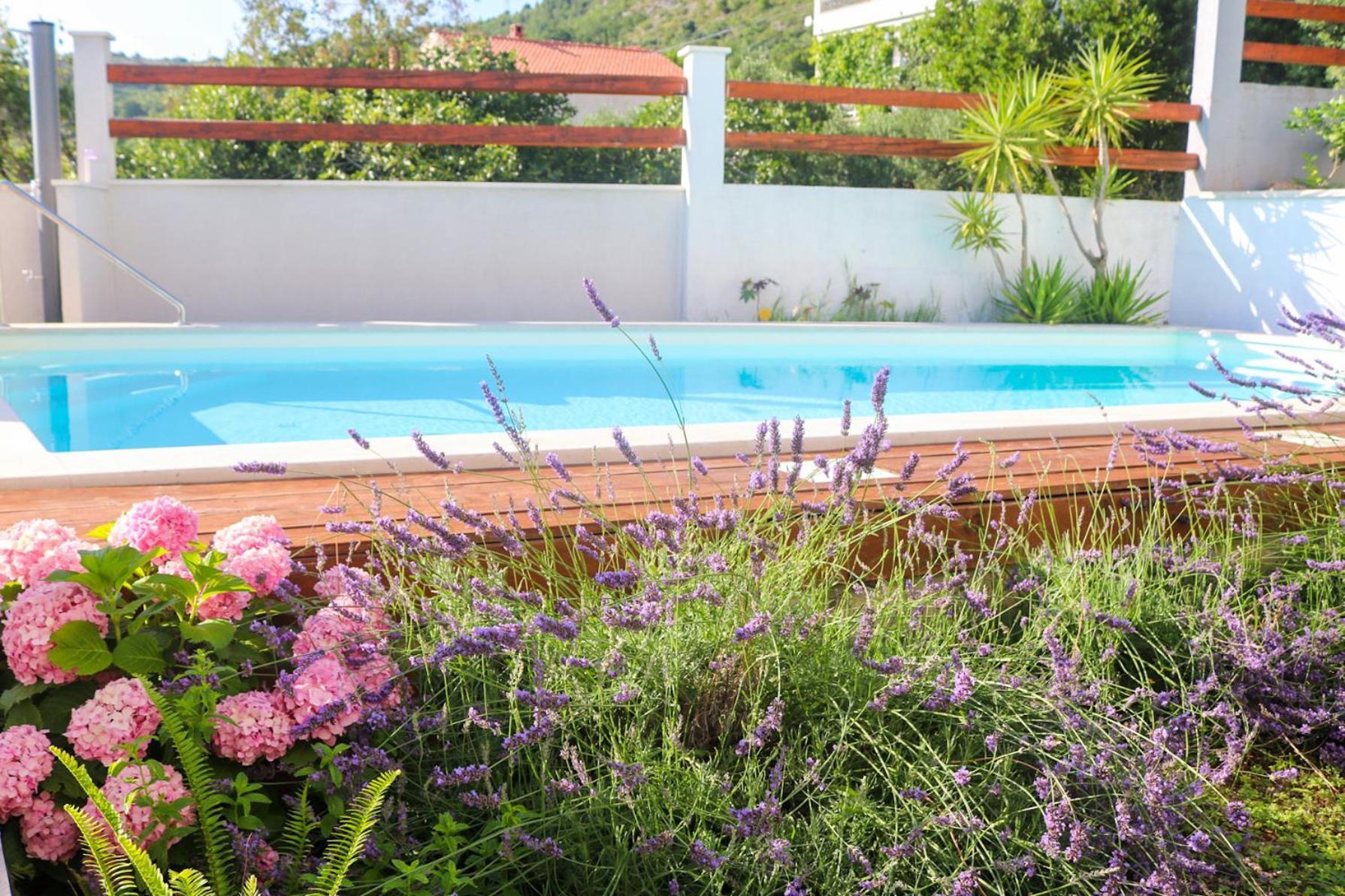 Villa My Rose With A Private Pool Mlini Ngoại thất bức ảnh