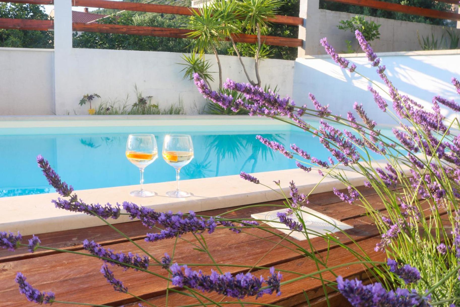 Villa My Rose With A Private Pool Mlini Ngoại thất bức ảnh